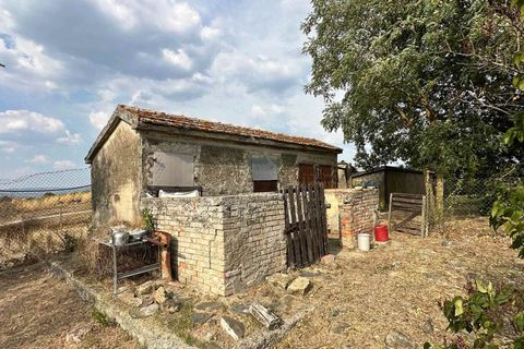 Farm hus i Cinigiano, Grosseto, Cinigiano - € 790.000 | Ref: a7631ta2504972a - foto 11