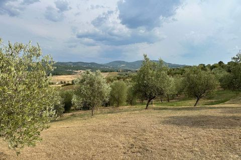 Farm hus i Cinigiano, Grosseto, Cinigiano - € 790.000 | Ref: a7631ta2504972a - foto 17