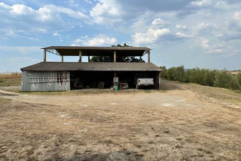Farm hus i Cinigiano, Grosseto, Cinigiano - € 790.000 | Ref: a7631ta2504972a - foto 21