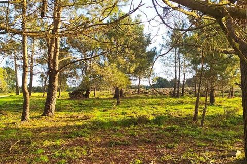 Helårsgrund i Sagres, Faro, Sagres - € 390.000 | Ref: 88420 - foto 2