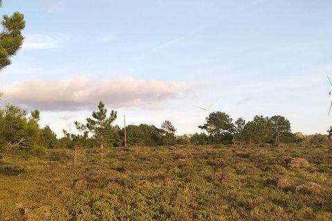 Helårsgrund i Sagres, Faro, Sagres - € 390.000 | Ref: 88420 - foto 10