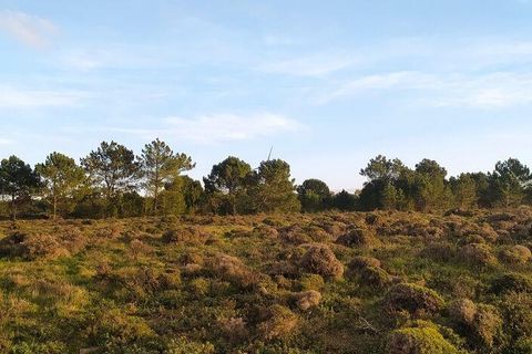 Helårsgrund i Sagres, Faro, Sagres - € 390.000 | Ref: 88420 - foto 13