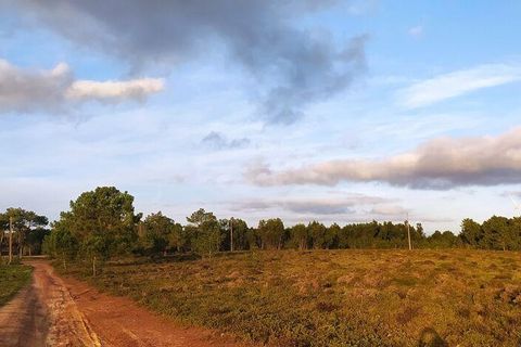Helårsgrund i Sagres, Faro, Sagres - € 390.000 | Ref: 88420 - foto 16