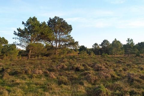 Helårsgrund i Sagres, Faro, Sagres - € 390.000 | Ref: 88420 - foto 17