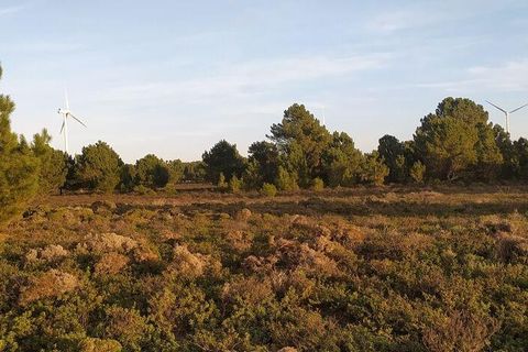 Helårsgrund i Sagres, Faro, Sagres - € 390.000 | Ref: 88420 - foto 18