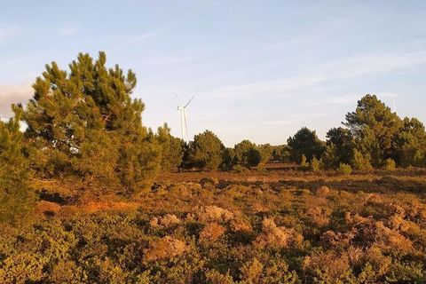 Helårsgrund i Sagres, Faro, Sagres - € 390.000 | Ref: 88420 - foto 19