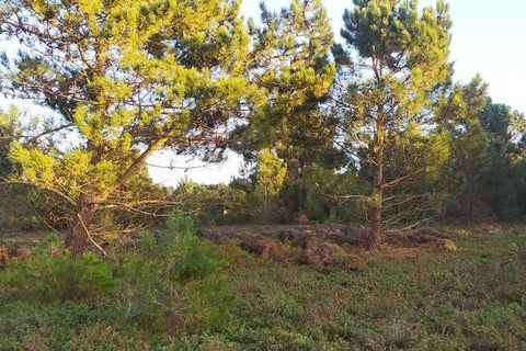 Helårsgrund i Sagres, Faro, Sagres - € 390.000 | Ref: 88420 - foto 20