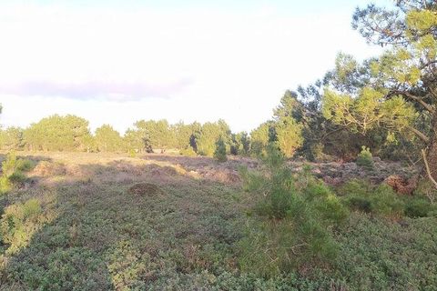 Helårsgrund i Sagres, Faro, Sagres - € 390.000 | Ref: 88420 - foto 22