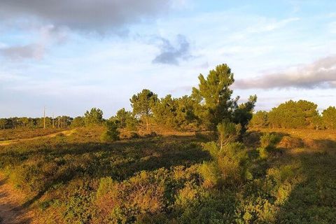 Helårsgrund i Sagres, Faro, Sagres - € 390.000 | Ref: 88420 - foto 23