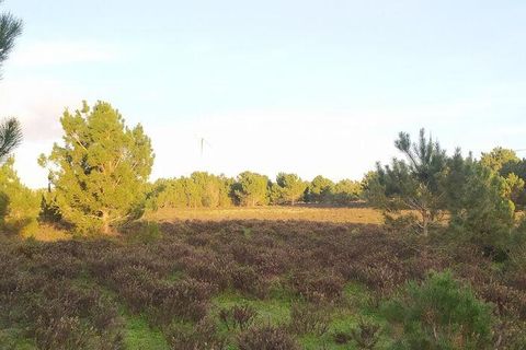 Helårsgrund i Sagres, Faro, Sagres - € 390.000 | Ref: 88420 - foto 26