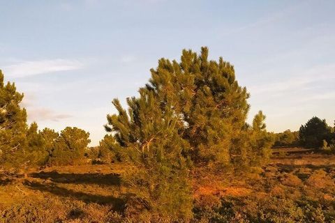Helårsgrund i Sagres, Faro, Sagres - € 390.000 | Ref: 88420 - foto 29