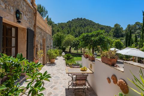 Landejendom i Andratx, Mallorca, Andratx - € 2.950.000 | Ref: AND52552SAR - foto 21