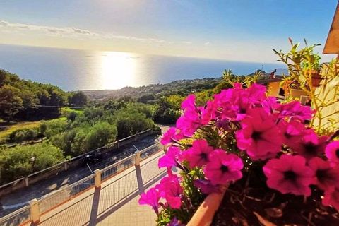 Lejlighed i Cetraro, Cosenza, Cetraro - € 138.000 | Ref: 1353 - foto 3
