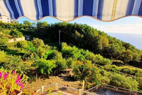 Lejlighed i Cetraro, Cosenza, Cetraro - € 138.000 | Ref: 1353 - foto 4