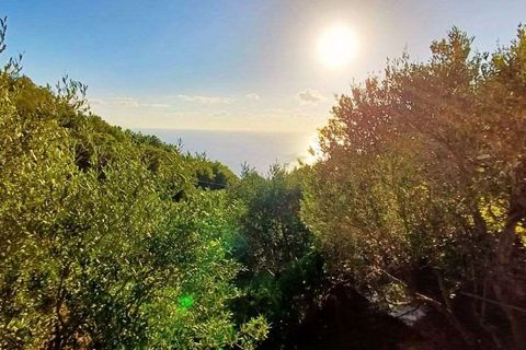 Lejlighed i Cetraro, Cosenza, Cetraro - € 138.000 | Ref: 1353 - foto 7