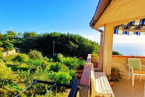 Lejlighed i Cetraro, Cosenza, Cetraro - € 138.000 | Ref: 1353 - foto 15
