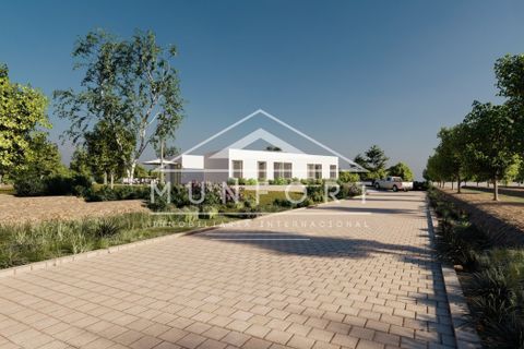 Villa i Algorfa, Alicante, Algorfa - € 995.000 | Ref: MA004-N-D - foto 17