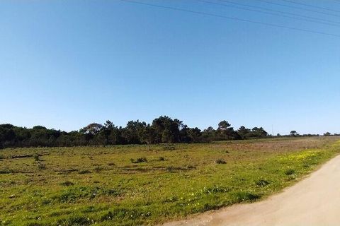 Helårsgrund i Sagres, Faro, Sagres - € 790.000 | Ref: 88886 - foto 3