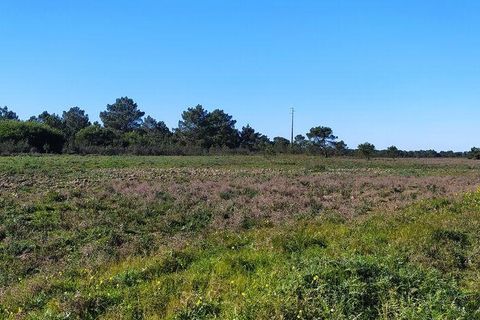 Helårsgrund i Sagres, Faro, Sagres - € 790.000 | Ref: 88886 - foto 4