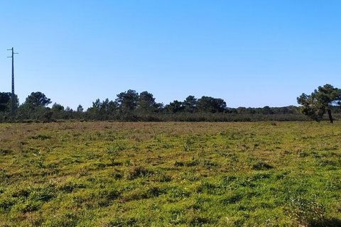 Helårsgrund i Sagres, Faro, Sagres - € 790.000 | Ref: 88886 - foto 5