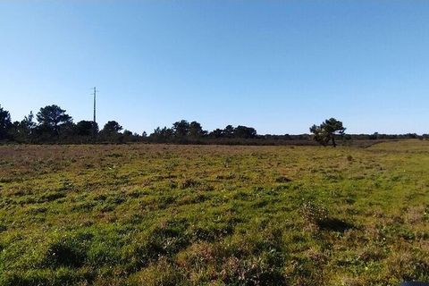 Helårsgrund i Sagres, Faro, Sagres - € 790.000 | Ref: 88886 - foto 6