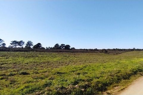 Helårsgrund i Sagres, Faro, Sagres - € 790.000 | Ref: 88886 - foto 8