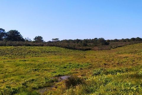 Helårsgrund i Sagres, Faro, Sagres - € 790.000 | Ref: 88886 - foto 10