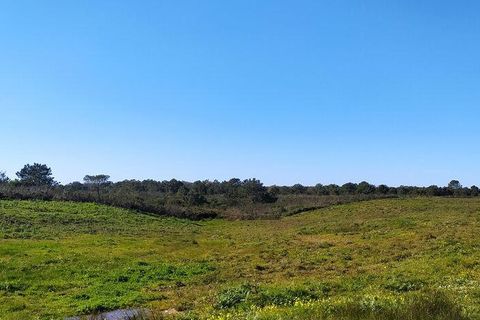 Helårsgrund i Sagres, Faro, Sagres - € 790.000 | Ref: 88886 - foto 11