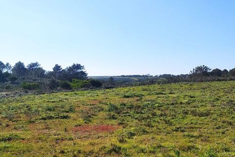 Helårsgrund i Sagres, Faro, Sagres - € 790.000 | Ref: 88886 - foto 13