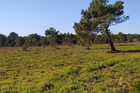 Helårsgrund i Sagres, Faro, Sagres - € 790.000 | Ref: 88886 - foto 14