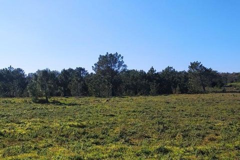 Helårsgrund i Sagres, Faro, Sagres - € 790.000 | Ref: 88886 - foto 17