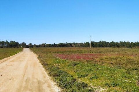 Helårsgrund i Sagres, Faro, Sagres - € 790.000 | Ref: 88886 - foto 22