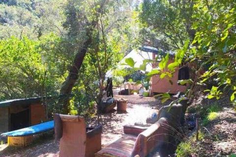 Terra a Monchique, Faro, Monchique - € 85.000 | Ref: 149345 - foto 7