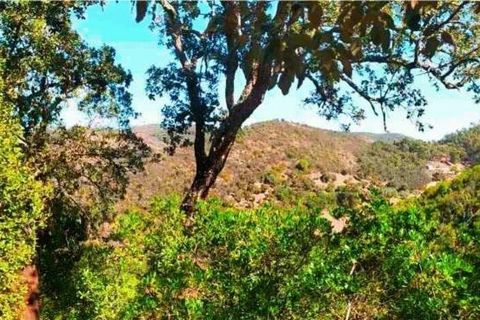 Terra a Monchique, Faro, Monchique - € 85.000 | Ref: 149345 - foto 13