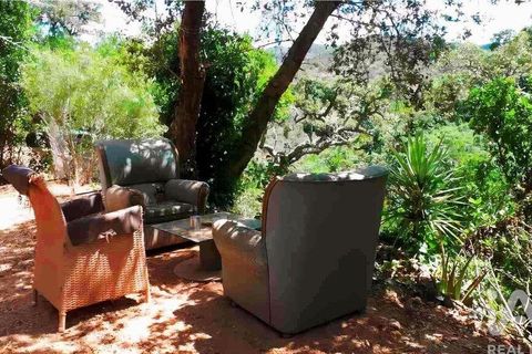 Terra a Monchique, Faro, Monchique - € 85.000 | Ref: 149345 - foto 15