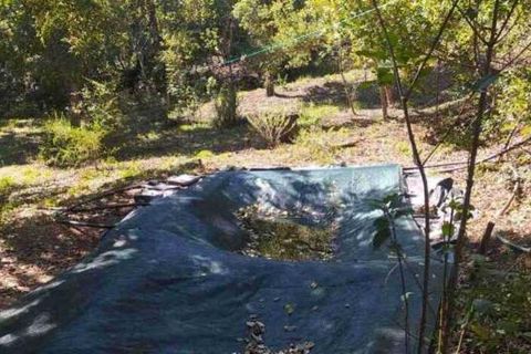 Terra a Monchique, Faro, Monchique - € 85.000 | Ref: 149345 - foto 19