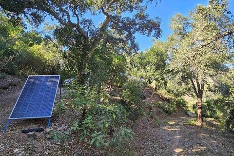 Terra a Monchique, Faro, Monchique - € 85.000 | Ref: 149345 - foto 22