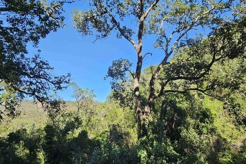 Terra a Monchique, Faro, Monchique - € 85.000 | Ref: 149345 - foto 24