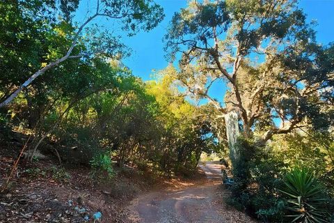Terra a Monchique, Faro, Monchique - € 85.000 | Ref: 149345 - foto 26
