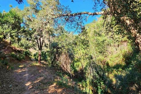Terra a Monchique, Faro, Monchique - € 85.000 | Ref: 149345 - foto 27