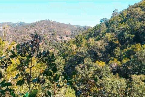 Terra a Monchique, Faro, Monchique - € 85.000 | Ref: 149345 - foto 28