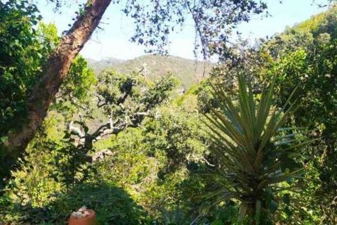 Terra a Monchique, Faro, Monchique - € 85.000 | Ref: 149345 - foto 29