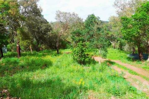 Terra a Monchique, Faro, Monchique - € 85.000 | Ref: 149345 - foto 30