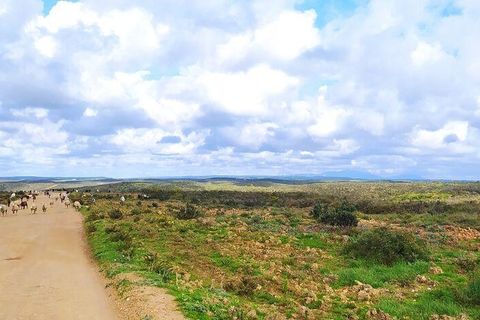 Helårsgrund i Sagres, Faro, Sagres - € 1.900.000 | Ref: 88411 - foto 1