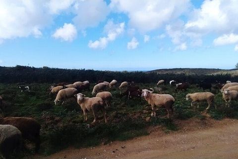 Helårsgrund i Sagres, Faro, Sagres - € 1.900.000 | Ref: 88411 - foto 3