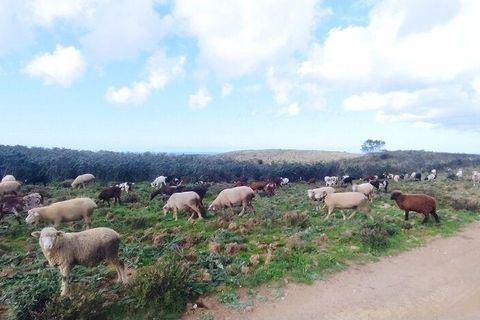 Helårsgrund i Sagres, Faro, Sagres - € 1.900.000 | Ref: 88411 - foto 4