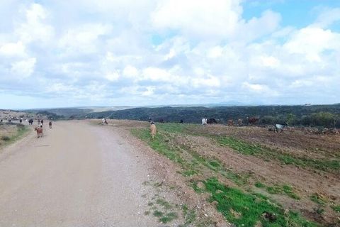 Helårsgrund i Sagres, Faro, Sagres - € 1.900.000 | Ref: 88411 - foto 5