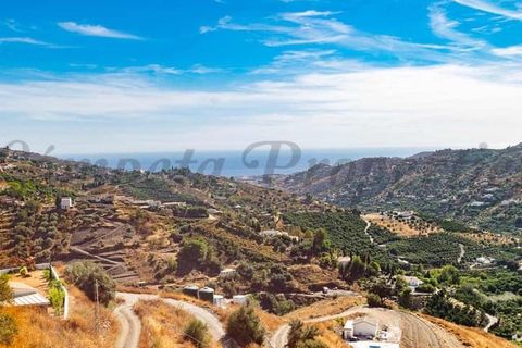 Finca i Torrox, Malaga, Torrox - € 269 000 | Ref: TCP258 - foto 22