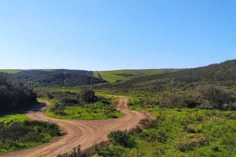 Terra a Sagres, Faro, Sagres - € 190.000 | Ref: 88884 - foto 8