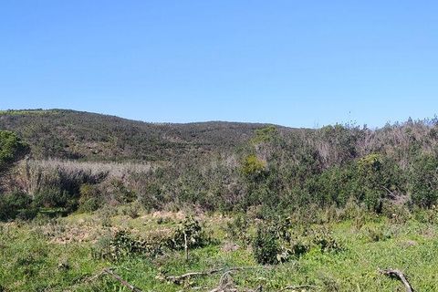 Terra a Sagres, Faro, Sagres - € 190.000 | Ref: 88884 - foto 9